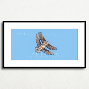 Y_PROD_WILDLIFE_003