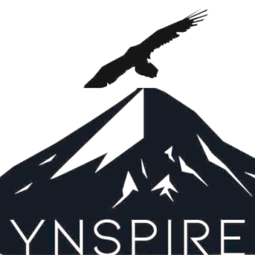 Ynspire Art Photo