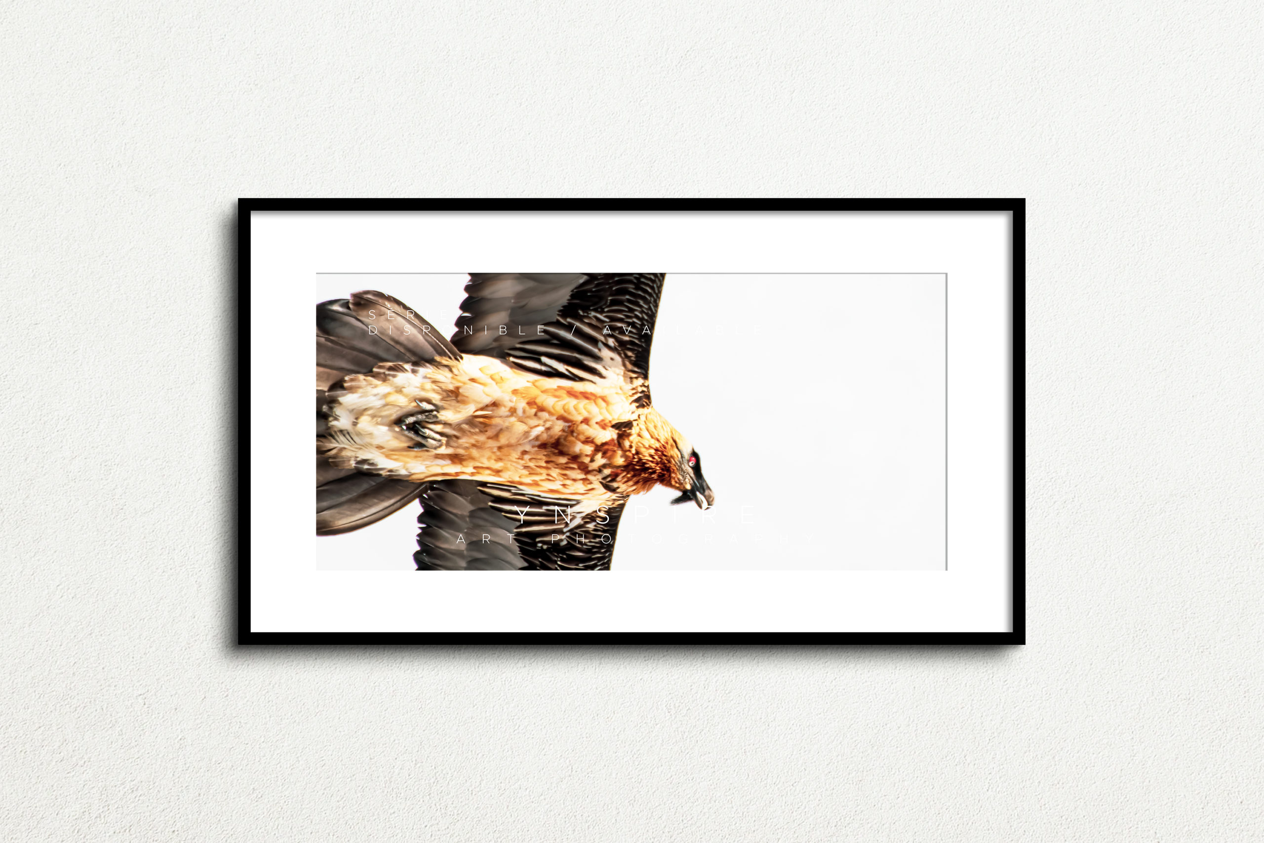 Y_PROD_WILDLIFE_008