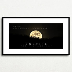 Y_PROD_PRESTI_009