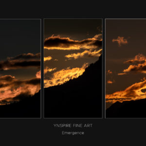 PAREIDOLIA - Feu - Emergence