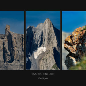 PAREIDOLIA - Terre - Vestiges